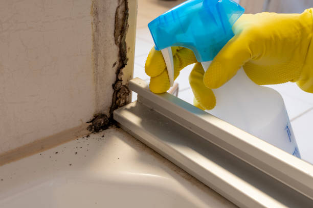 Best Mold Testing and Inspection Services in Leechburg, PA